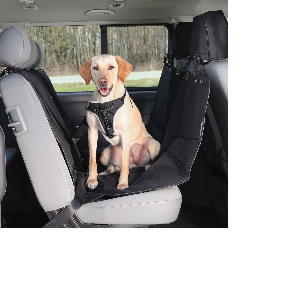 Car blanket